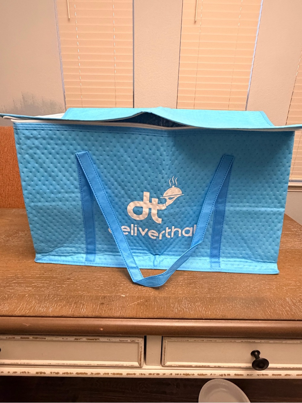 Blue Insulated Bag